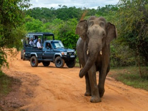 Sri Lanka