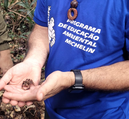 PROJETO EXPEDIÇÕES 2025: Reserva Ecológica Michelin