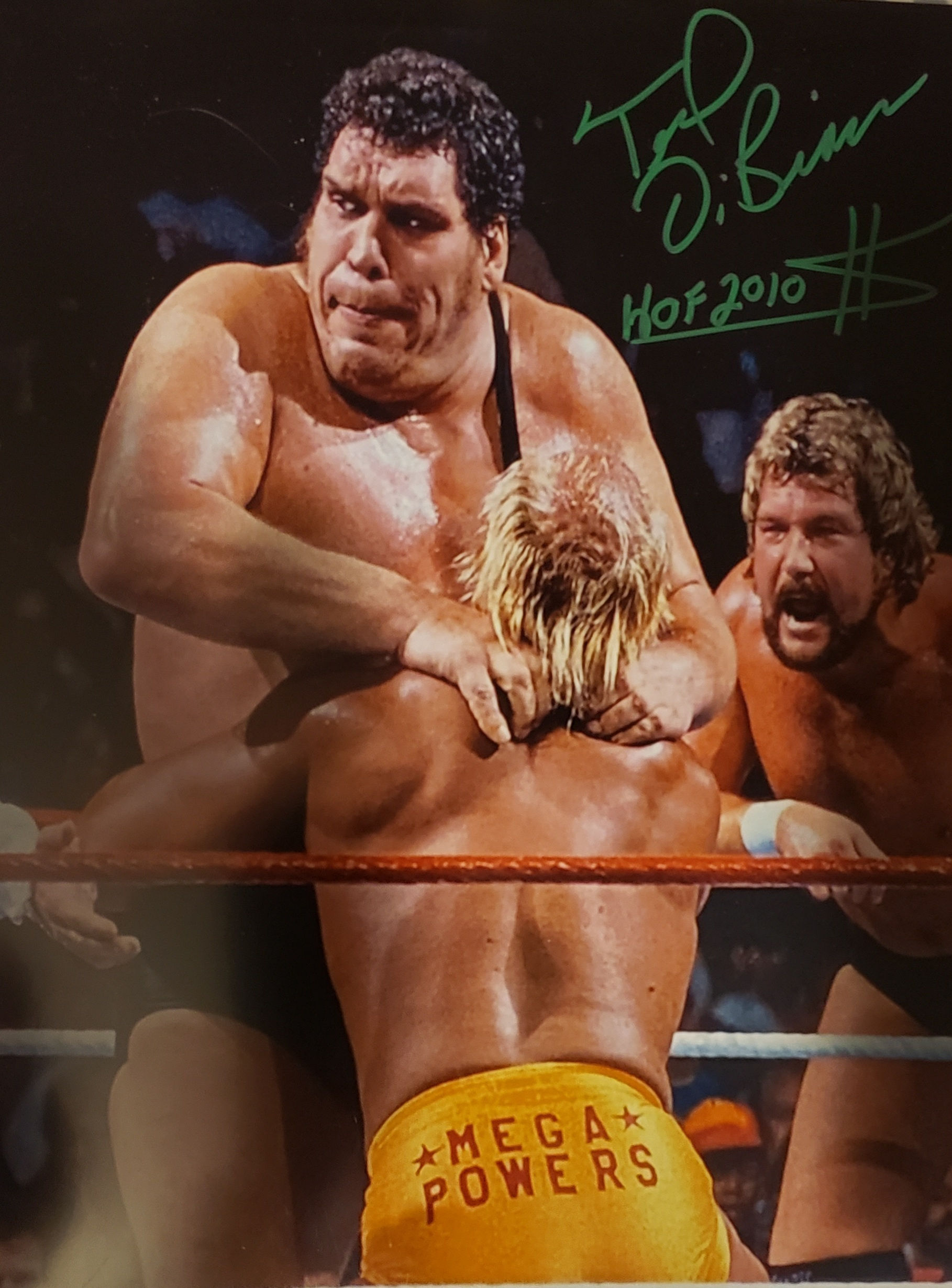 The "Million Dollar Man" Ted Dibiase autographed 16x20 framed picture with HOF i