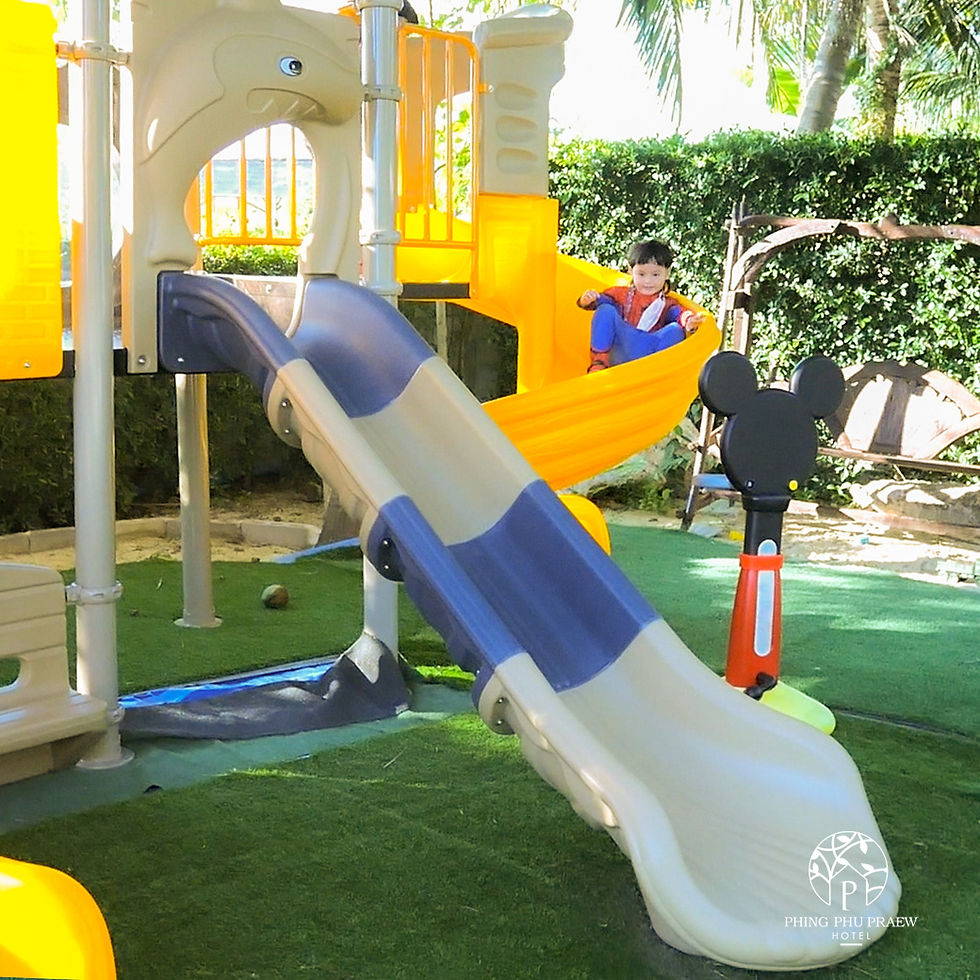 เครื่องเล่นบ้านพิงภูแพรว 10