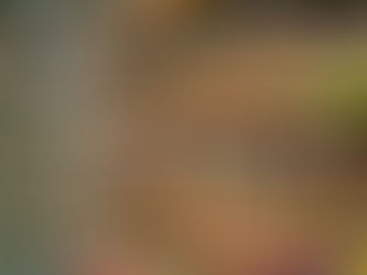 Data Isn’t Just Numbers: How Smart Merchandising Drives Retail Success