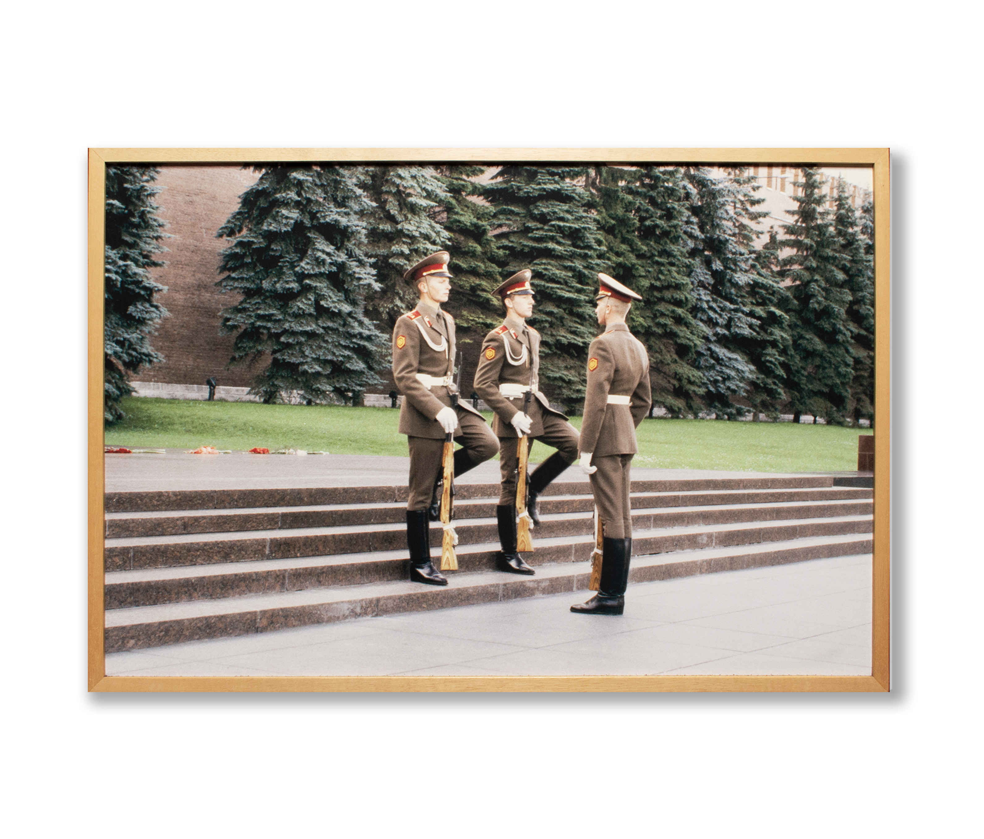 Sem título // Iatã Cannabrava