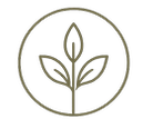 logo for Brighton and Hove Ayurveda
