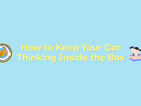 Litterbox Success Strategies