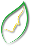 Logo de JL Conseils centre de formation en Martinique pour adultes