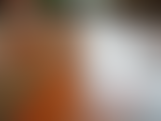 Transform Your Space with Decorative Concrete: Stained, Stamped, and Colored Designs