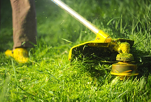weed-whacking-2-800-x-598px.png