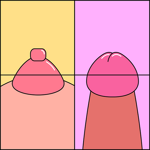 PB-06.png