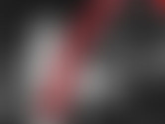 New Data Ethics Playbook case study