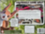 Thumbnail: Squirrels Gone Wild
