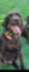 IMG_0262_edited.png