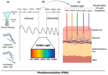 Diagrama científico ilustrando espectro da luz, densidade de potência e penetração tecidual na fotobiomodulação com foco em dosimetria clínica.
