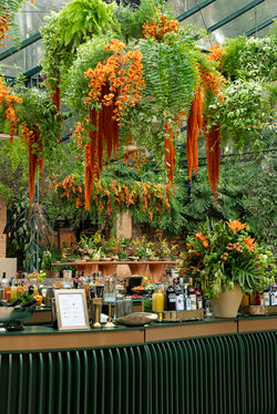 Casamento terroso na Fazenda Vila Rica