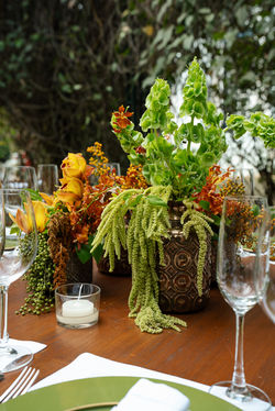 Casamento terroso na Fazenda Vila Rica