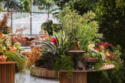 Casamento terroso botânico no Terras de Clara
