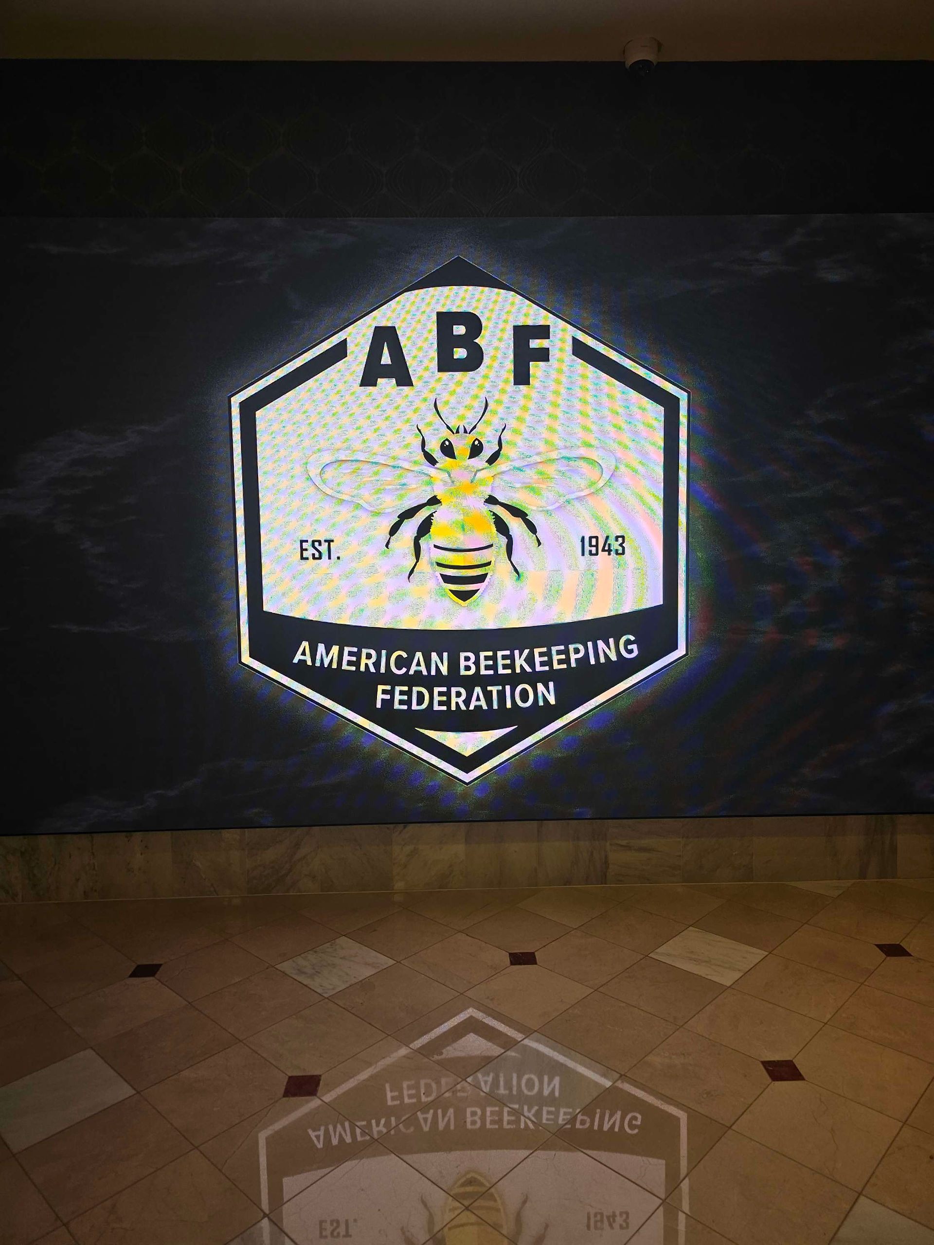 Beekeeping Mentorship  Colorado 2025