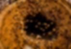 Log Beehive Removal, End of Summer 2021
