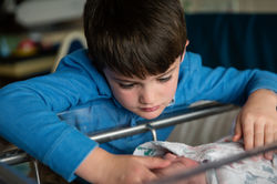 Colorado Fresh 48 Fort Collins