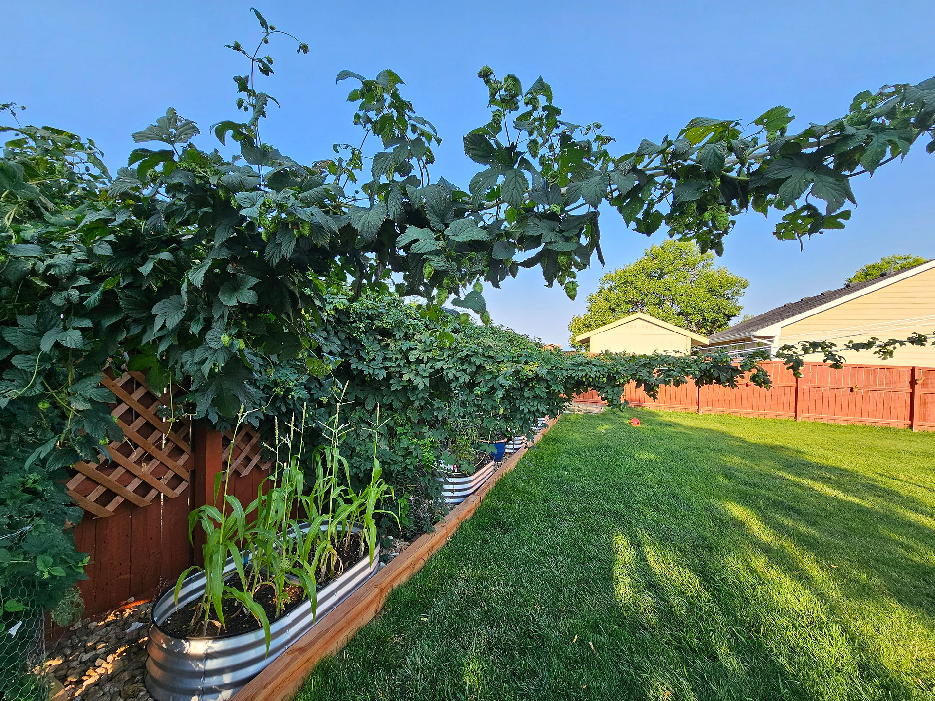Beekeeping Mentorship  Colorado 2025