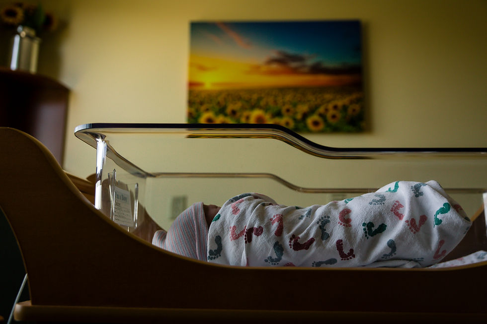 Wheat Ridge Fresh 48 Session