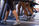 Tip of the day: LISS (Low Intensity Steady State) Cardio