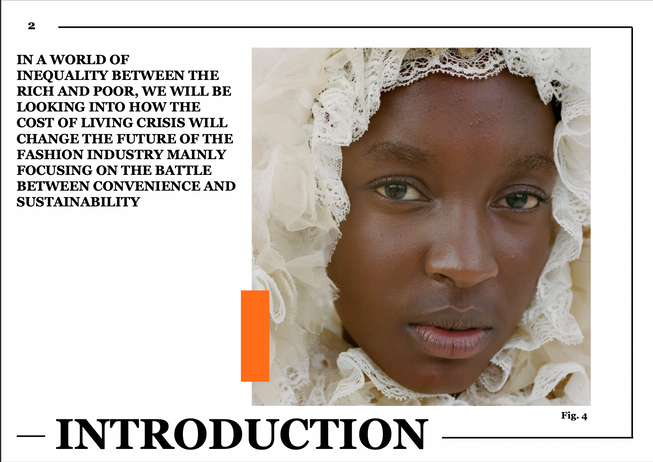 Introduction