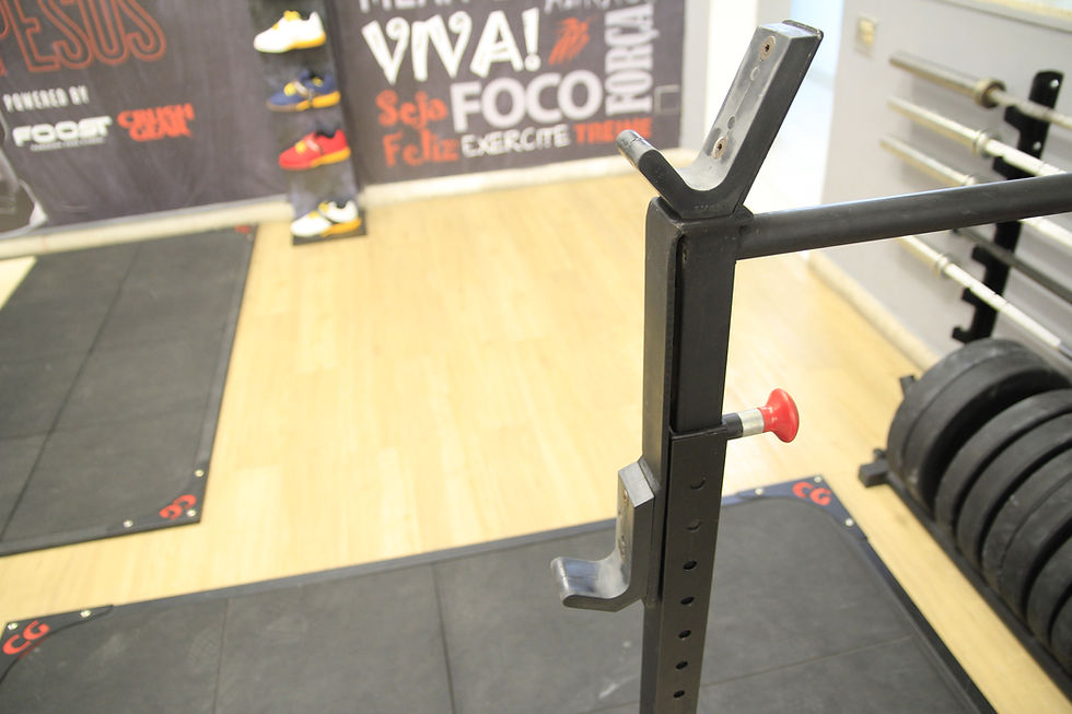 Miniatura: RACK AGACHAMENTO E SUPINO