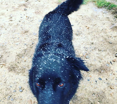 kona
