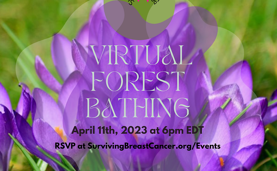 The Joy of Spring Forest Bathing