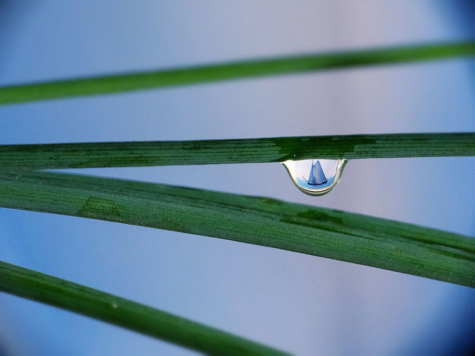 Vuarnesson_Marjolaine_08_en suspension