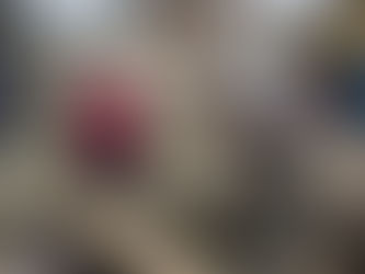 African Adventures 2025!