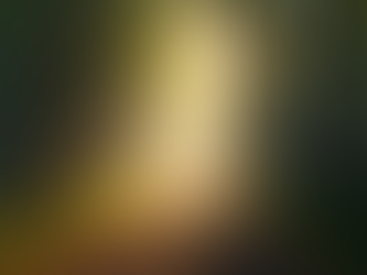 Healing Through Storytelling: Embrace Your Journey and Nature's Wisdom