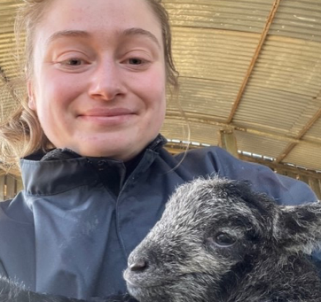 First Time Lambing