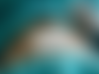 Comprehensive Plastic Surgery Care Tips