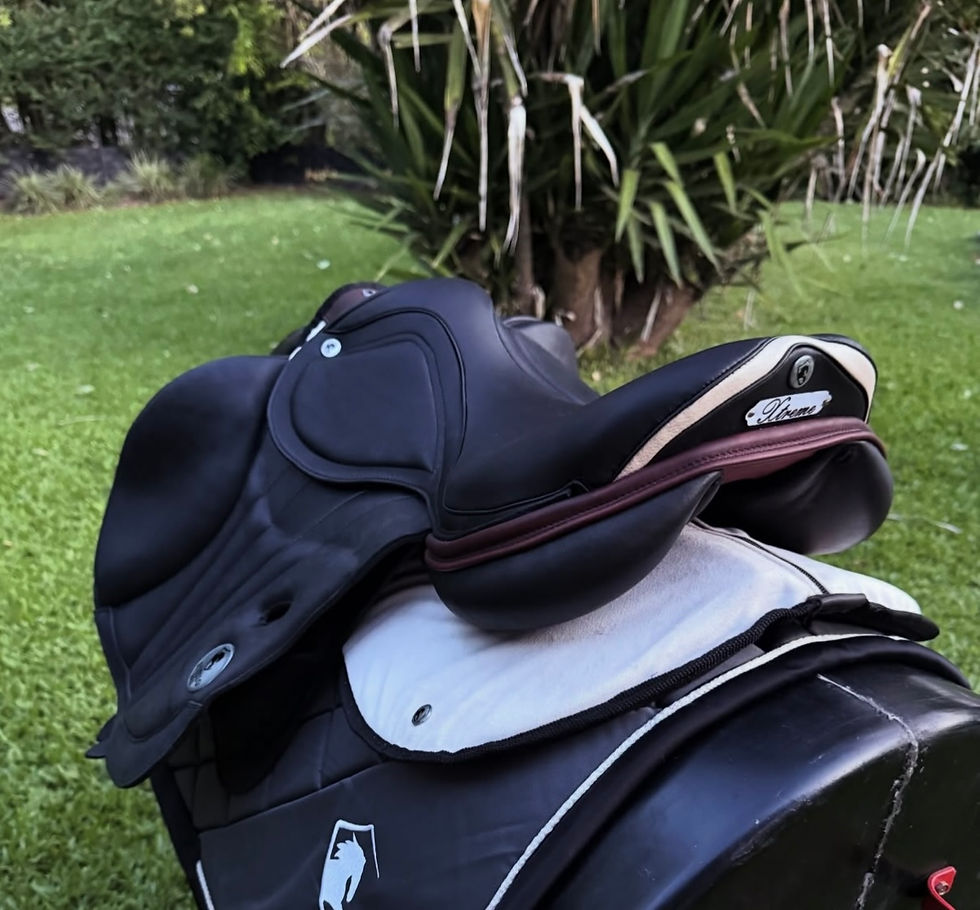 Estilo Saddle Xtreme