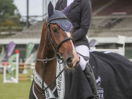 Xtreme Sport Horses on Top at the National Young Horse Show - 2020