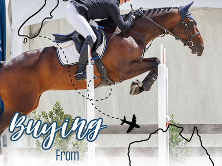 Are You in Australia and Dreaming of an Xtreme Horse, but Have No Idea Where to Start?