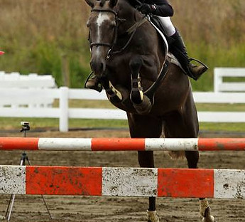 Shelby Jump