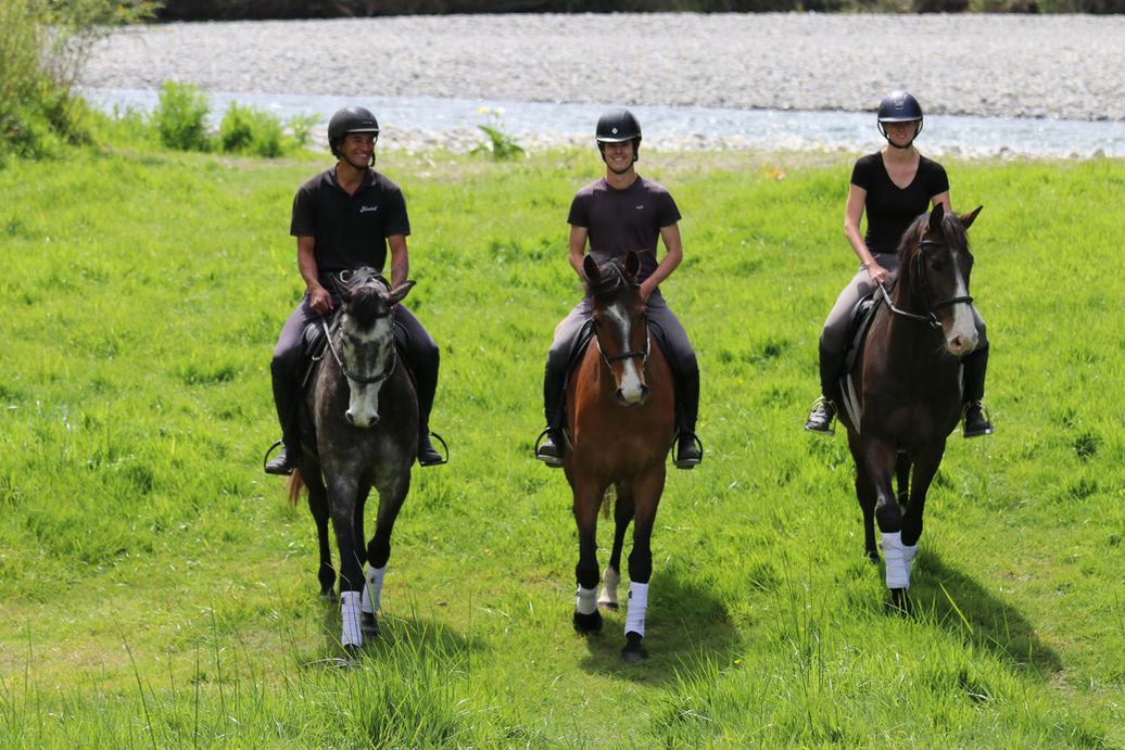 Xtreme Sport Horses river hacking