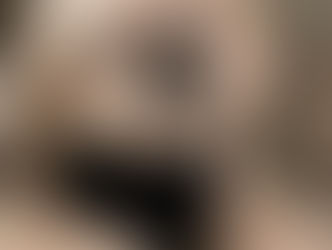 Close up of Smokey the Shih Tzu wearing a black harness and looking curious