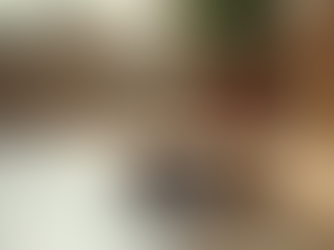 Lunaev Pet Ürünleriyle Evcil Hayvanlarınıza Özen Gösterin: Güvenilir Pet Ürünleriyle Tanışın