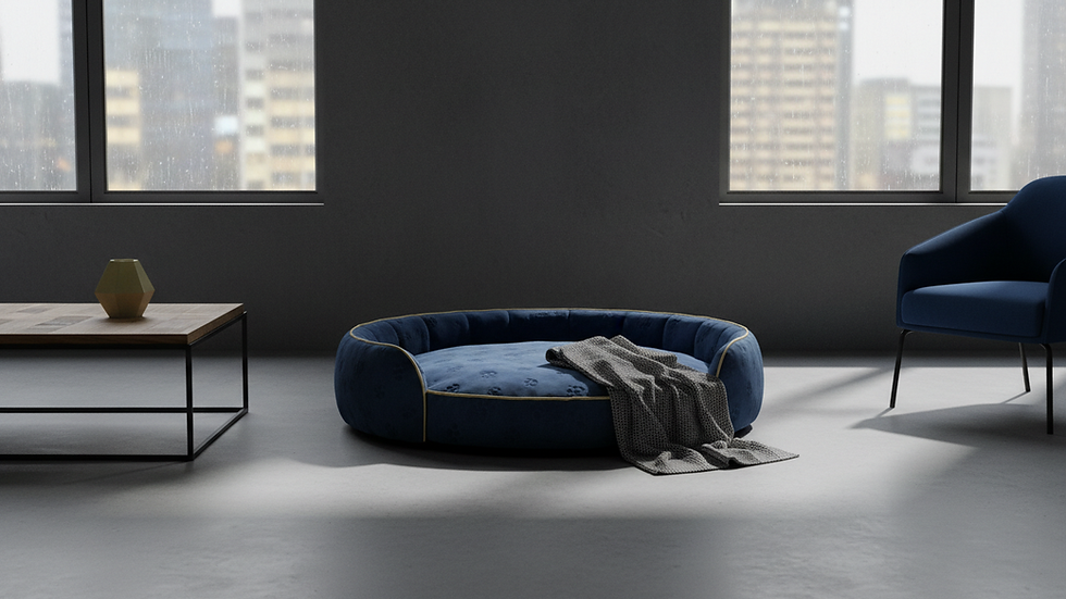 Eye-level view of a cozy pet bed in a living room