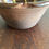 Thumbnail: Antique Coalisland Slipware Dairy Bowl.