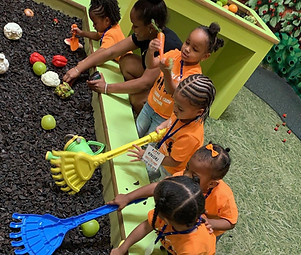 Children playing together on a soft mat with educational toys during indoor playtime.