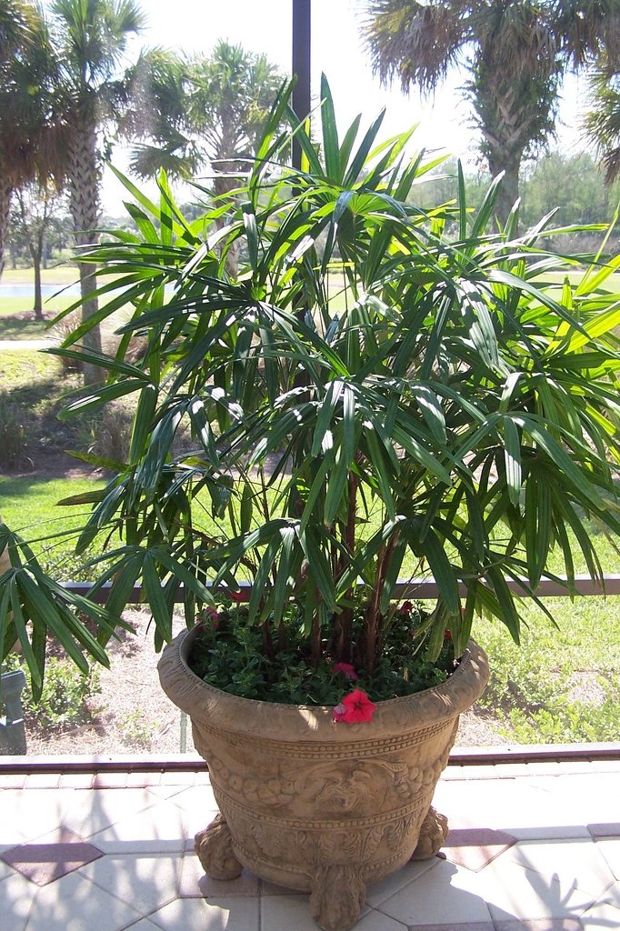 JXC Landscaping Pots / Fountains