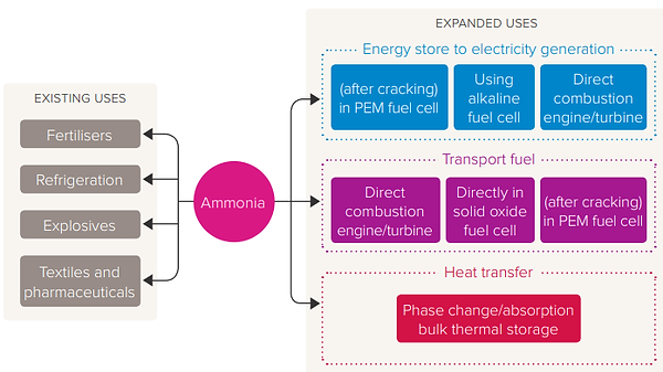 ammonia flux1.png