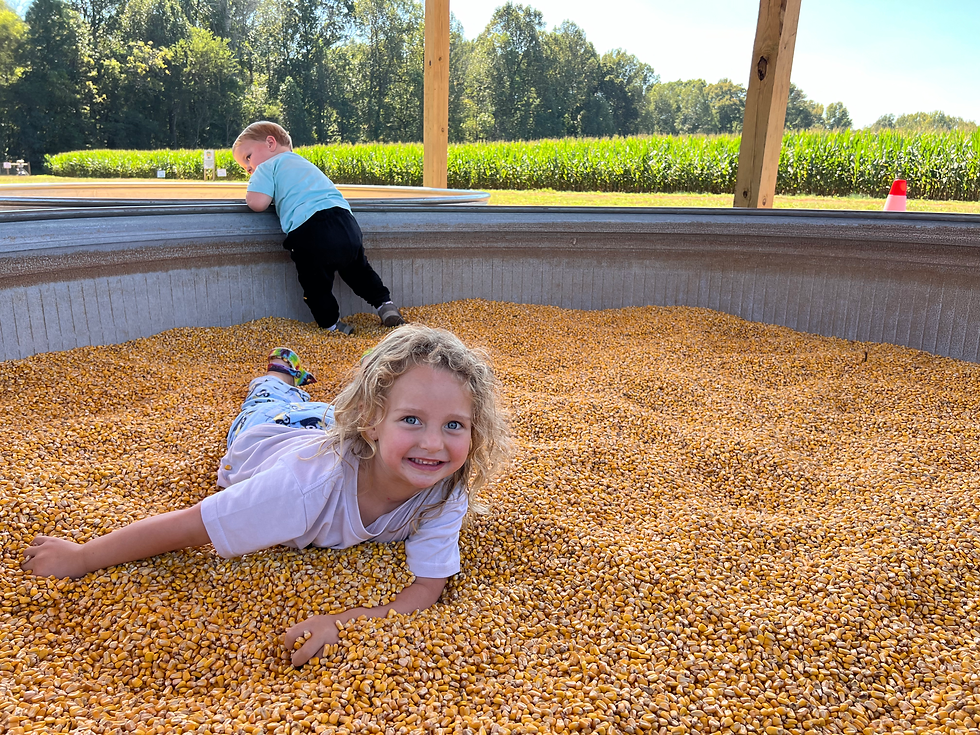 Children playing in a corn pit at Stas Farm.