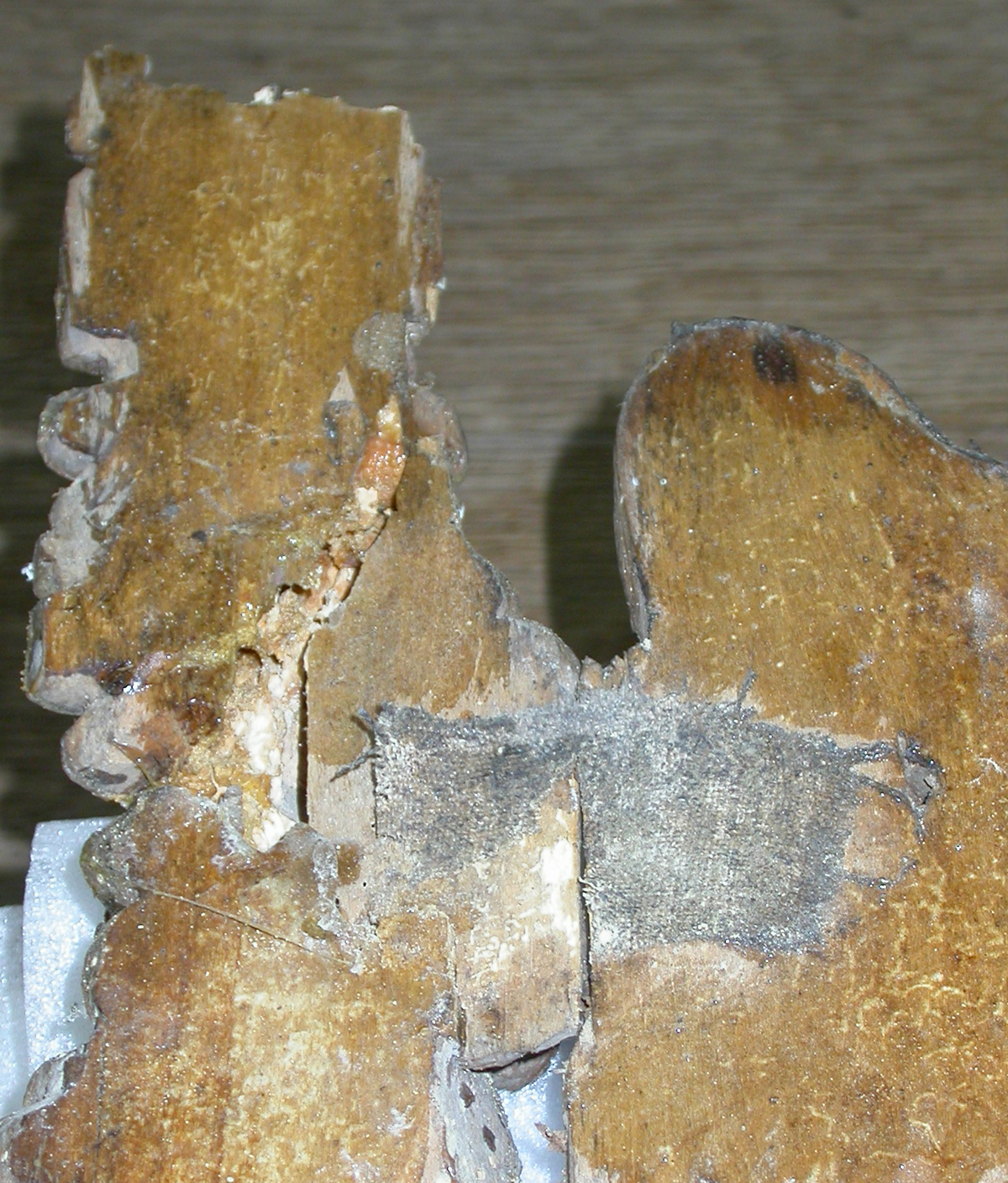 Trophy Carvings, West Wycombe Church