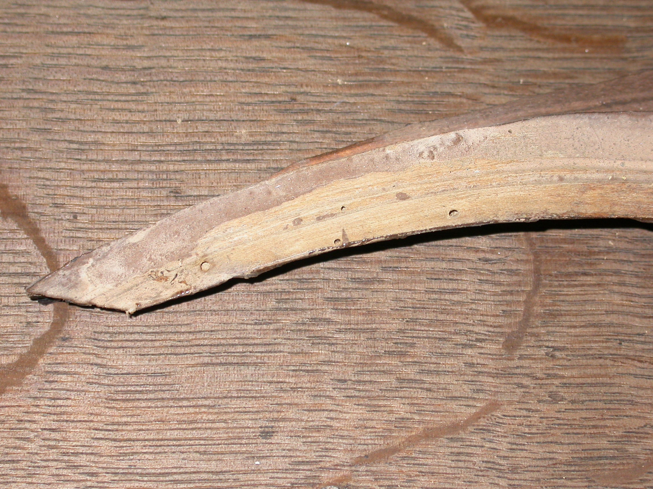 Trophy Carvings, West Wycombe Church
