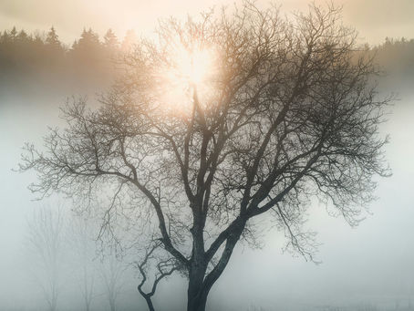 Le mal de vivre : comprendre ce vide intérieur et retrouver un apaisement durable
